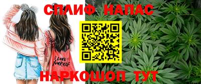 ГАЛЛЮЦИНОГЕННЫЕ ГРИБЫ Пушкино