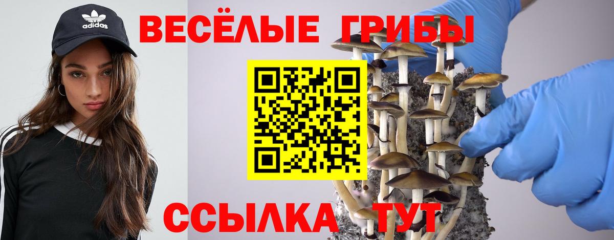 Галлюциногенные грибы мухоморы Реж